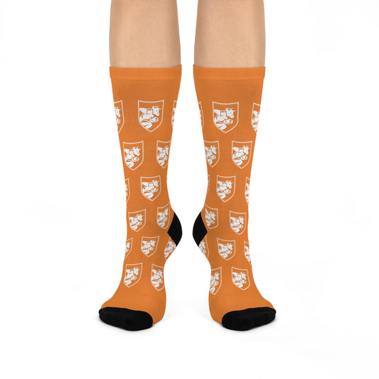 Minotaurs Socks